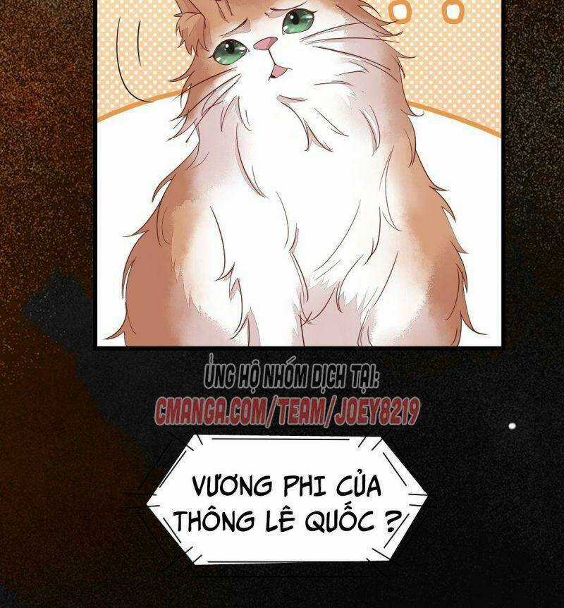 Sát Thủ Vương Phi Không Dễ Chọc Chapter 60 trang 40