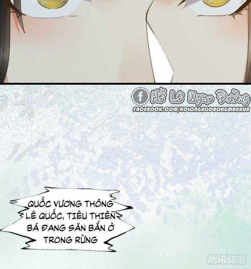 Sát Thủ Vương Phi Không Dễ Chọc Chapter 61 trang 44