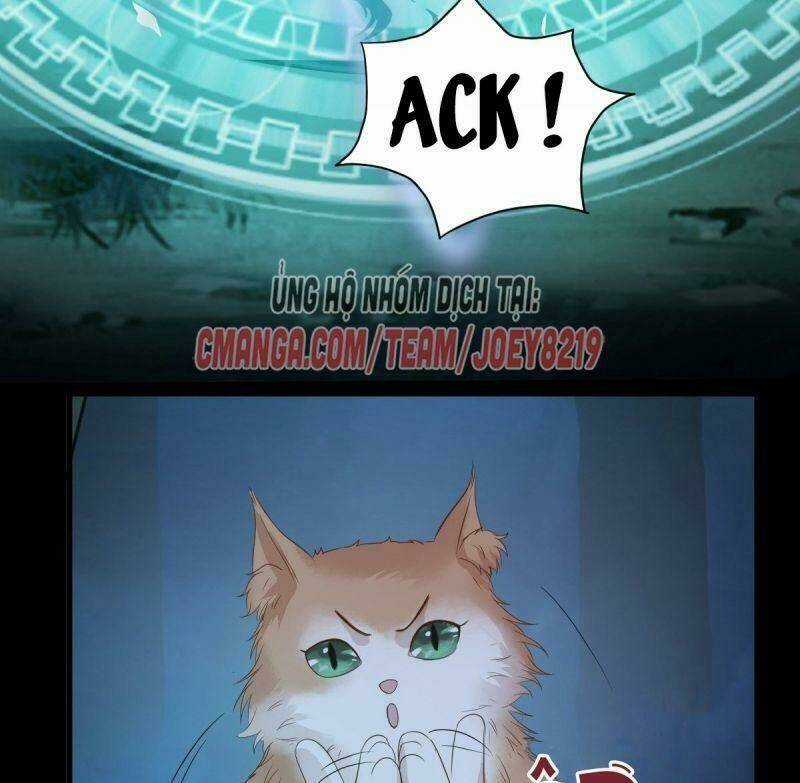 Sát Thủ Vương Phi Không Dễ Chọc Chapter 63 trang 18