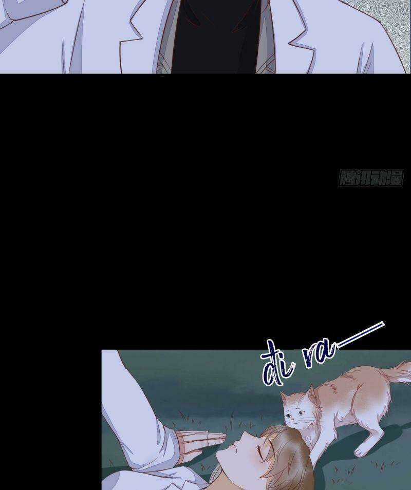 Sát Thủ Vương Phi Không Dễ Chọc Chapter 63 trang 39