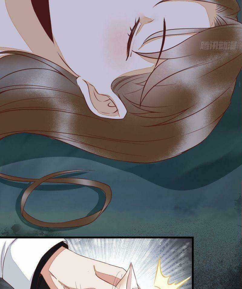 Sát Thủ Vương Phi Không Dễ Chọc Chapter 63 trang 42