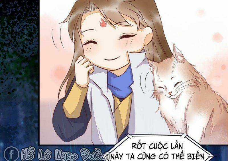 Sát Thủ Vương Phi Không Dễ Chọc Chapter 63 trang 46