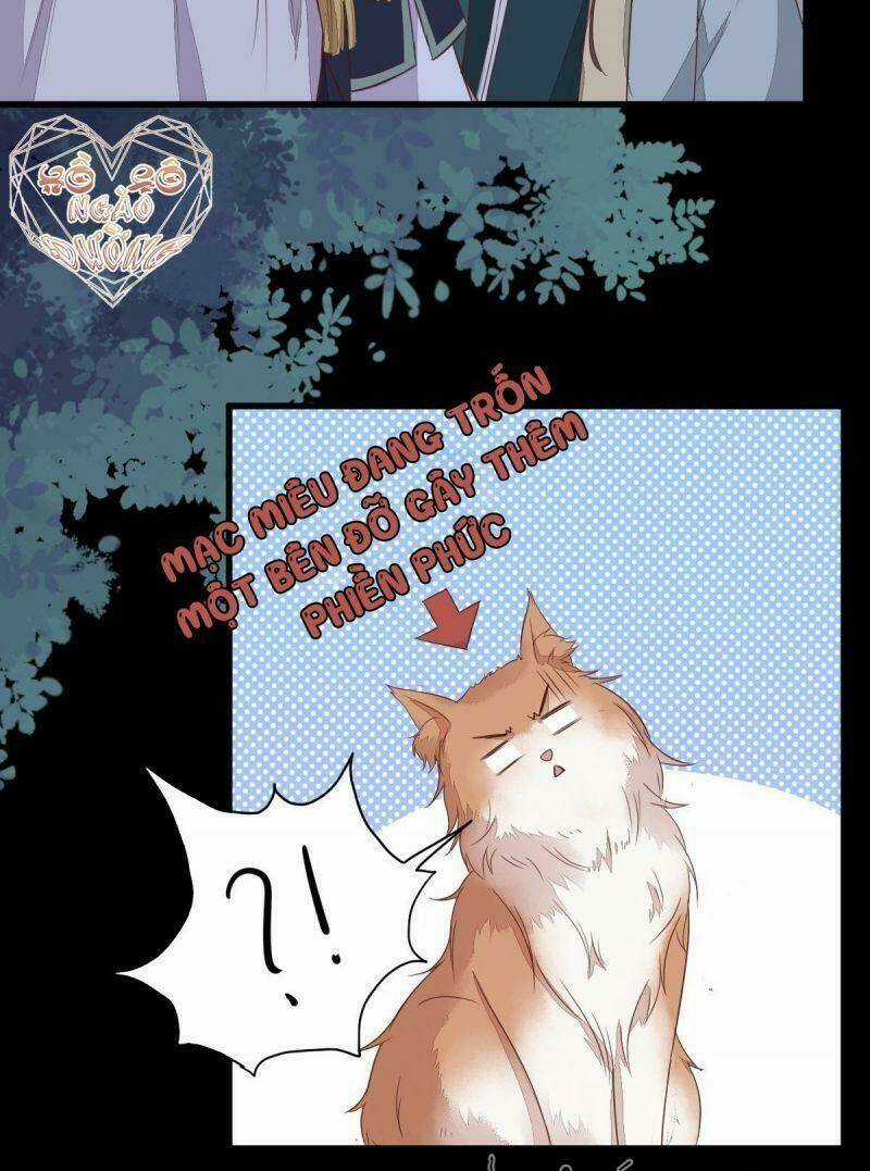 Sát Thủ Vương Phi Không Dễ Chọc Chapter 63 trang 7