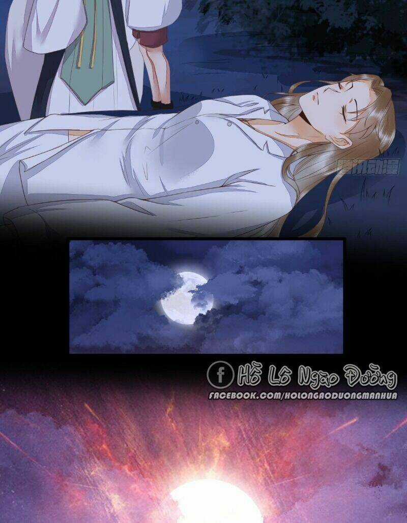 Sát Thủ Vương Phi Không Dễ Chọc Chapter 64 trang 19