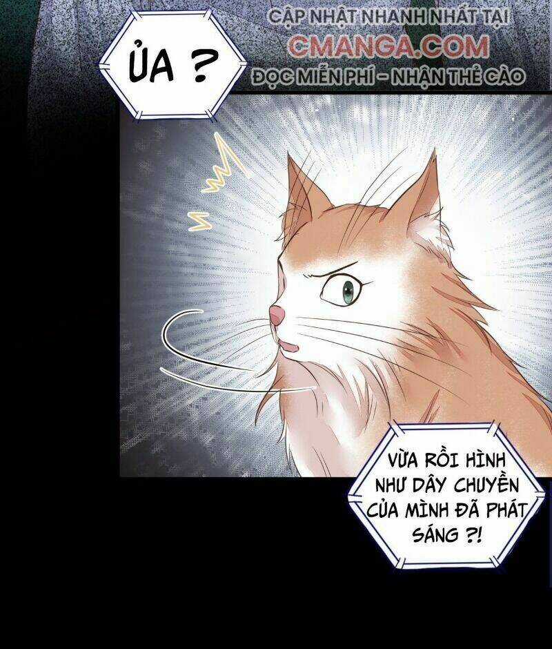 Sát Thủ Vương Phi Không Dễ Chọc Chapter 64 trang 22