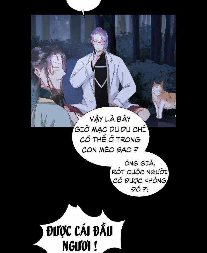 Sát Thủ Vương Phi Không Dễ Chọc Chapter 64 trang 3