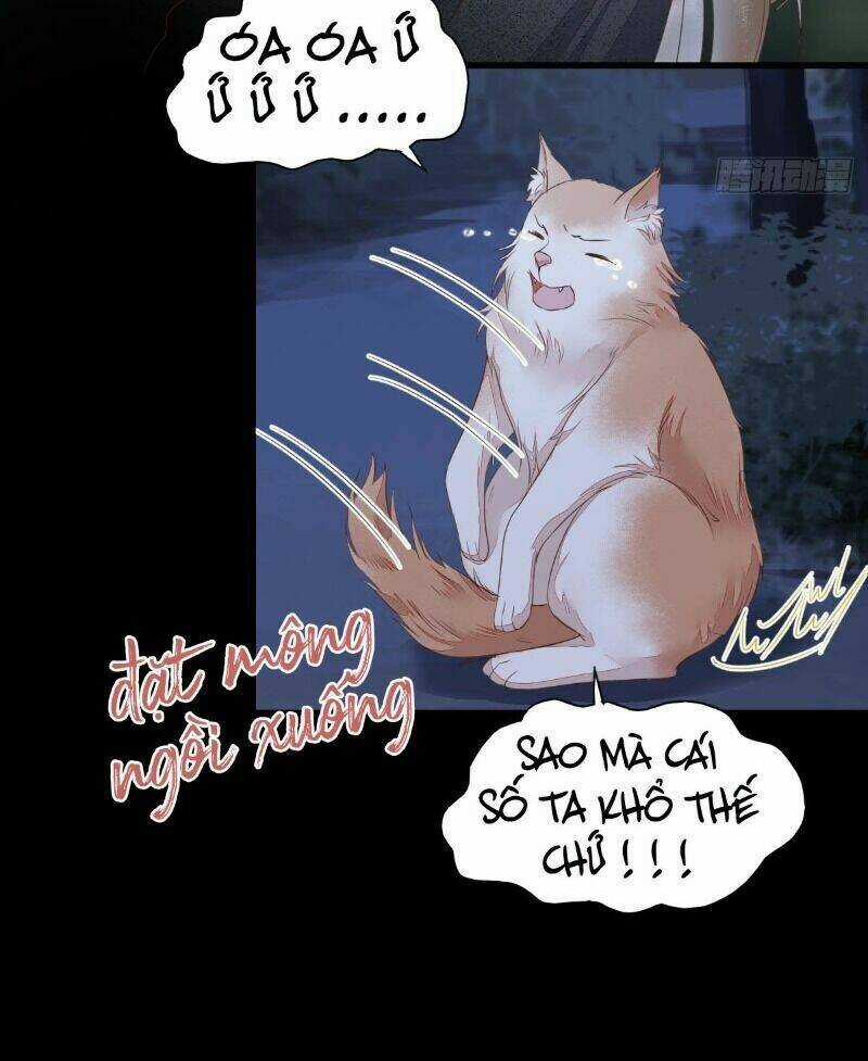 Sát Thủ Vương Phi Không Dễ Chọc Chapter 64 trang 8