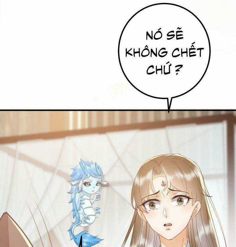 Sát Thủ Vương Phi Không Dễ Chọc Chapter 65 trang 42