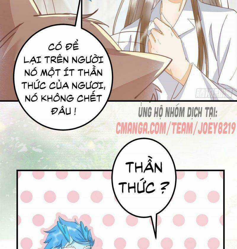 Sát Thủ Vương Phi Không Dễ Chọc Chapter 65 trang 43