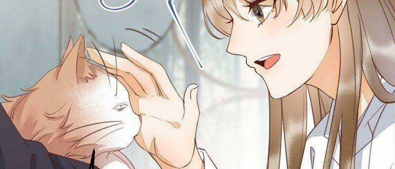 Sát Thủ Vương Phi Không Dễ Chọc Chapter 65 trang 47