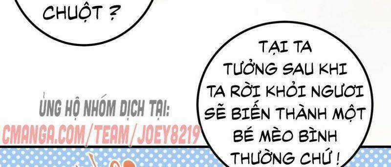 Sát Thủ Vương Phi Không Dễ Chọc Chapter 65 trang 49
