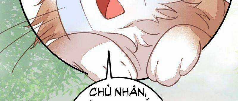 Sát Thủ Vương Phi Không Dễ Chọc Chapter 65 trang 54