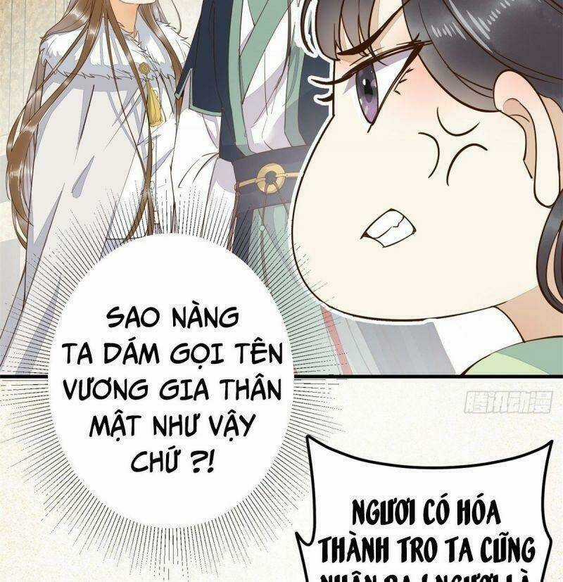 Sát Thủ Vương Phi Không Dễ Chọc Chapter 66 trang 31