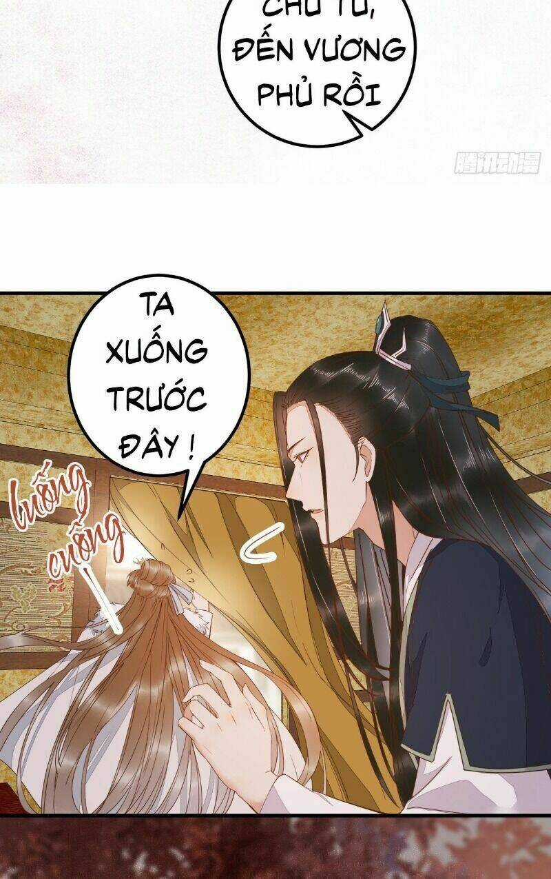 Sát Thủ Vương Phi Không Dễ Chọc Chapter 67 trang 6