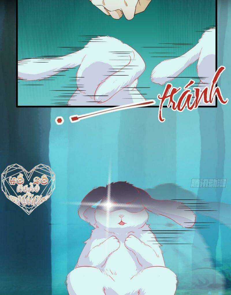 Sát Thủ Vương Phi Không Dễ Chọc Chapter 69 trang 3