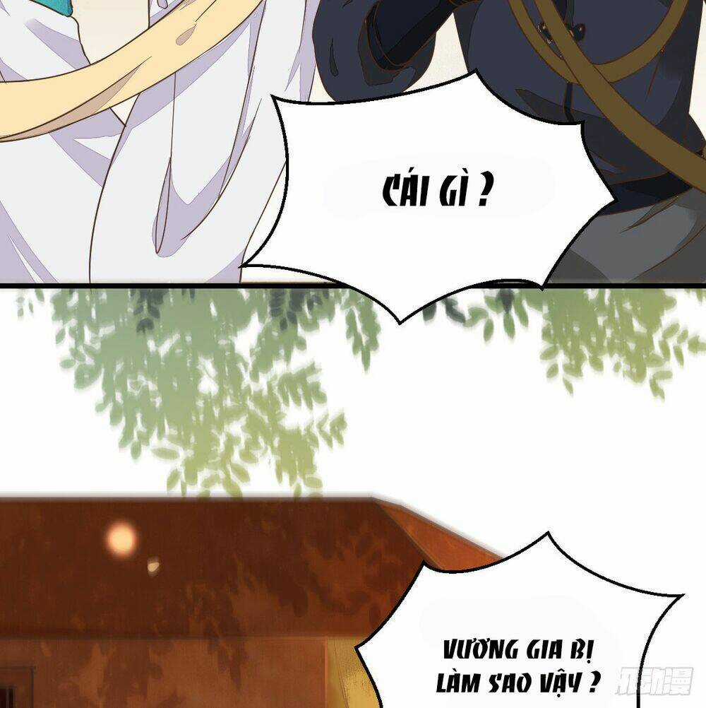 Sát Thủ Vương Phi Không Dễ Chọc Chapter 7 trang 7