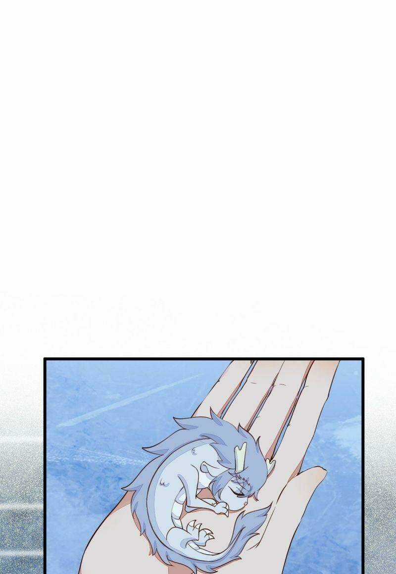 Sát Thủ Vương Phi Không Dễ Chọc Chapter 71 trang 13