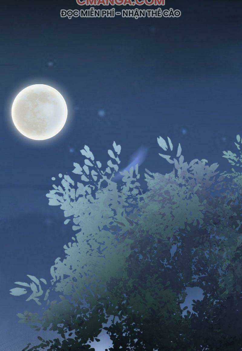 Sát Thủ Vương Phi Không Dễ Chọc Chapter 71 trang 18