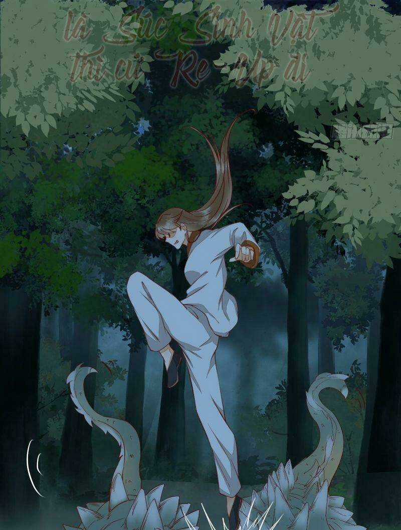 Sát Thủ Vương Phi Không Dễ Chọc Chapter 72 trang 37