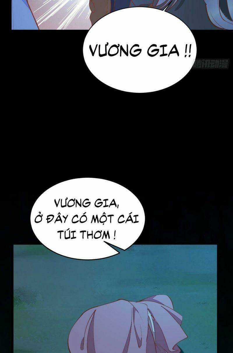 Sát Thủ Vương Phi Không Dễ Chọc Chapter 74 trang 26