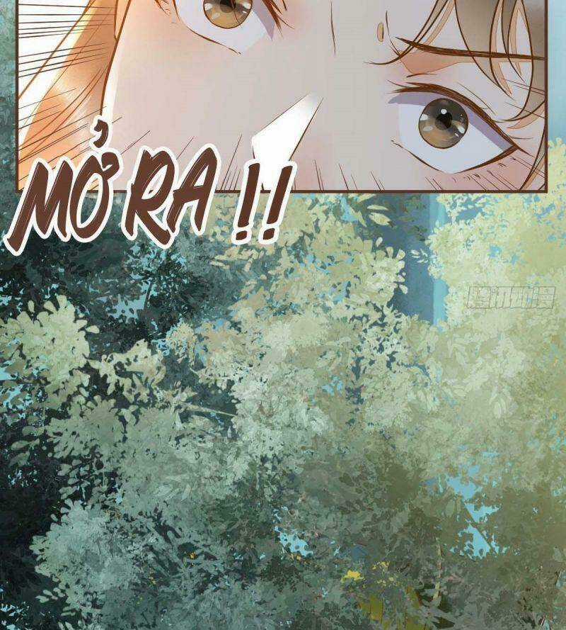 Sát Thủ Vương Phi Không Dễ Chọc Chapter 75 trang 13