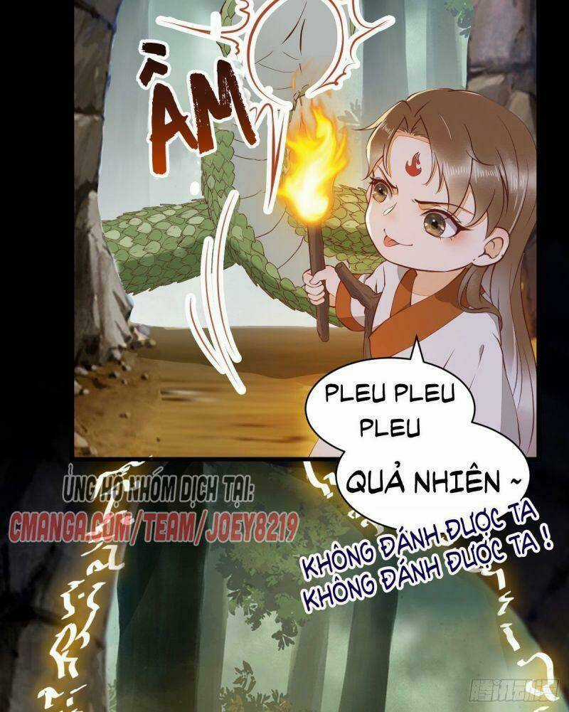 Sát Thủ Vương Phi Không Dễ Chọc Chapter 76 trang 11