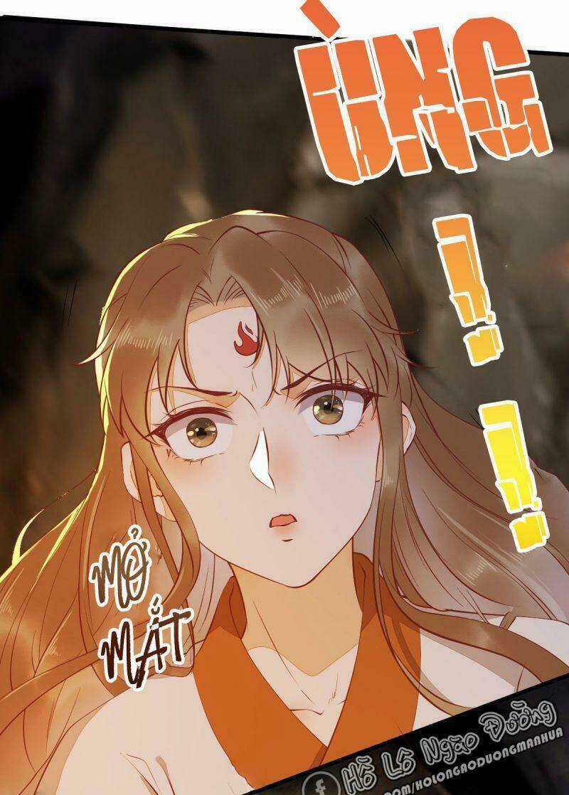 Sát Thủ Vương Phi Không Dễ Chọc Chapter 76 trang 31