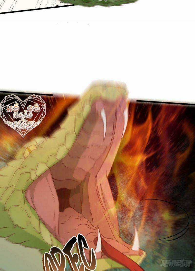 Sát Thủ Vương Phi Không Dễ Chọc Chapter 77 trang 5