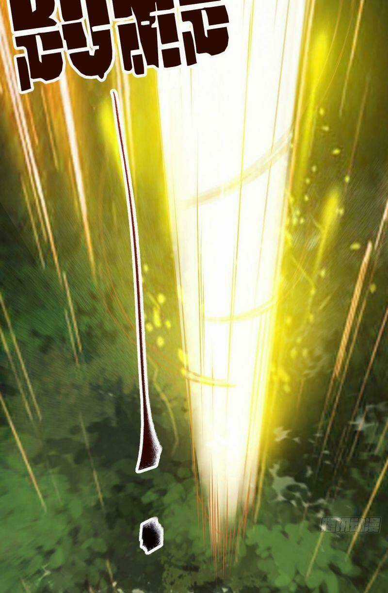 Sát Thủ Vương Phi Không Dễ Chọc Chapter 79 trang 10