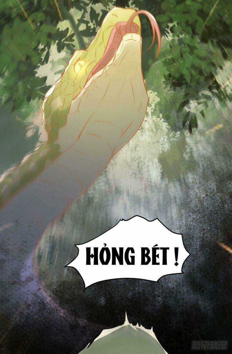 Sát Thủ Vương Phi Không Dễ Chọc Chapter 79 trang 11