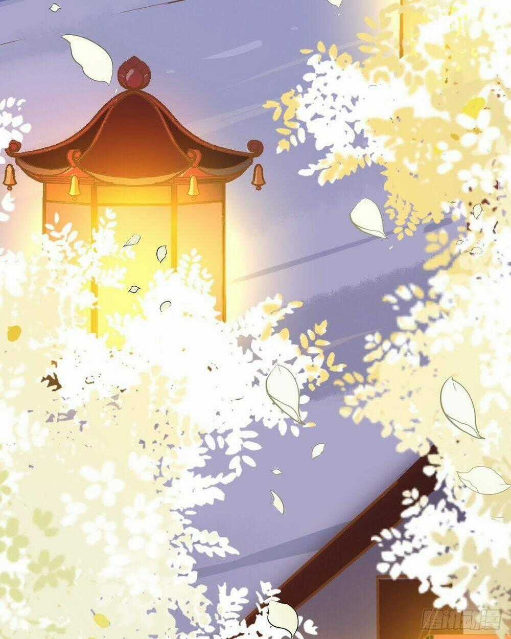 Sát Thủ Vương Phi Không Dễ Chọc Chapter 8.5 trang 19