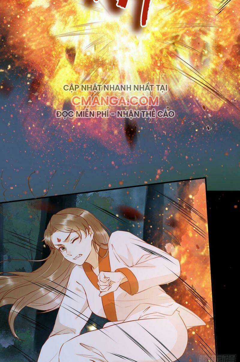 Sát Thủ Vương Phi Không Dễ Chọc Chapter 80 trang 31