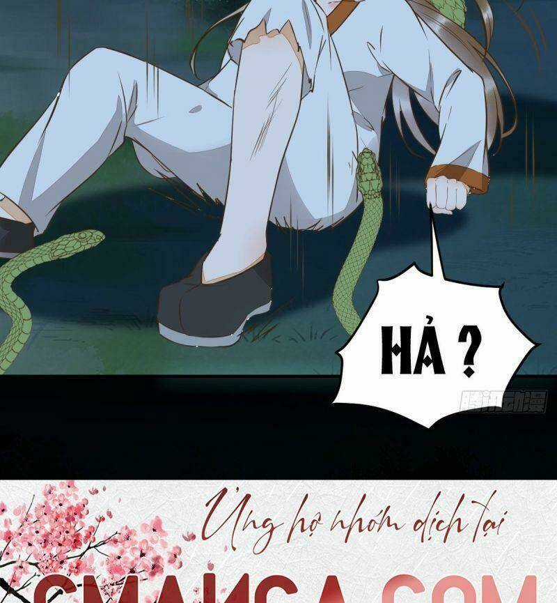 Sát Thủ Vương Phi Không Dễ Chọc Chapter 82 trang 26