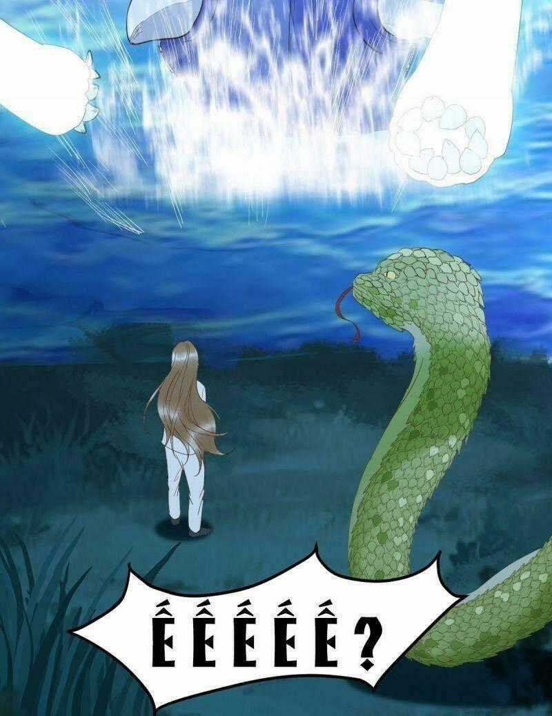 Sát Thủ Vương Phi Không Dễ Chọc Chapter 82 trang 58