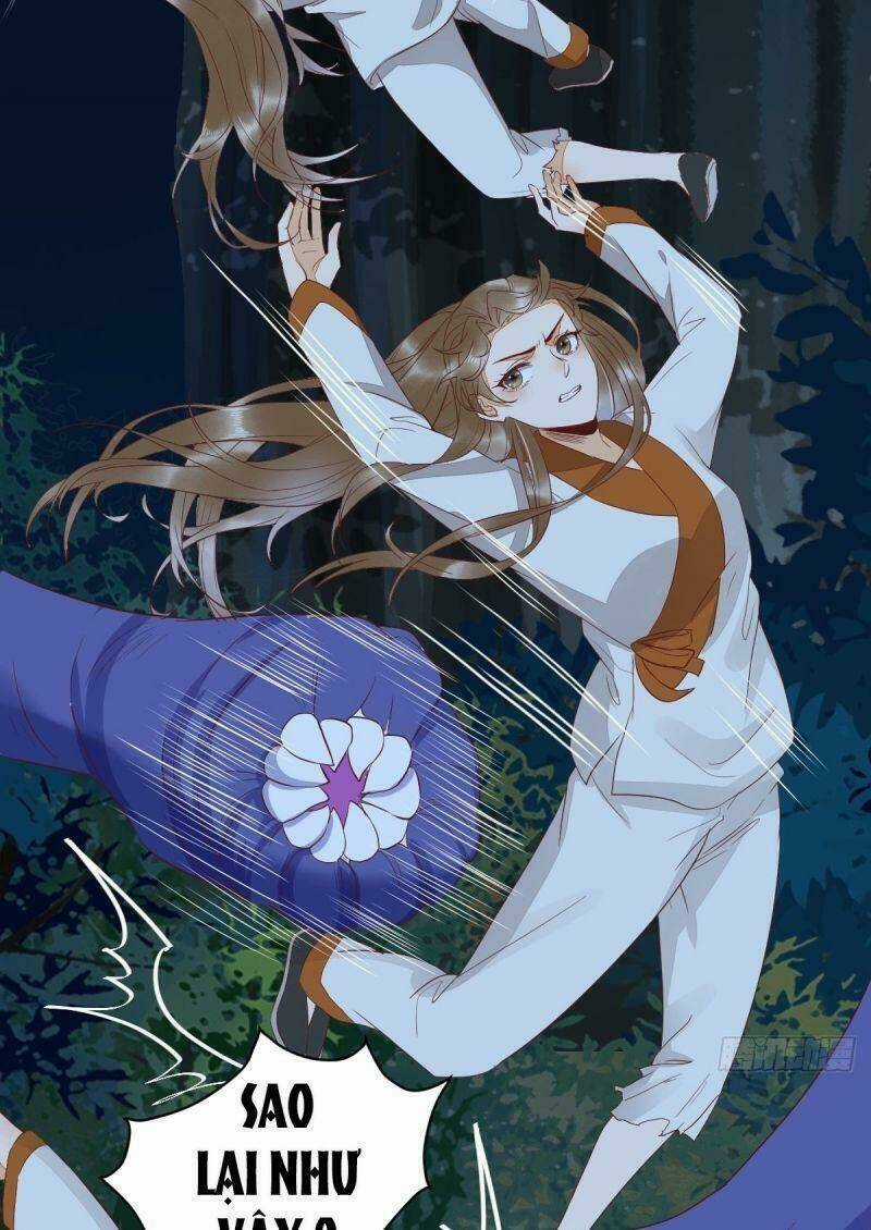 Sát Thủ Vương Phi Không Dễ Chọc Chapter 83 trang 4