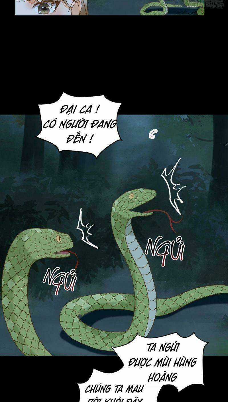 Sát Thủ Vương Phi Không Dễ Chọc Chapter 84 trang 26