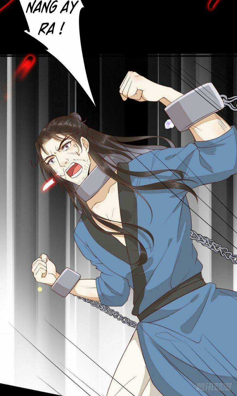 Sát Thủ Vương Phi Không Dễ Chọc Chapter 85 trang 7