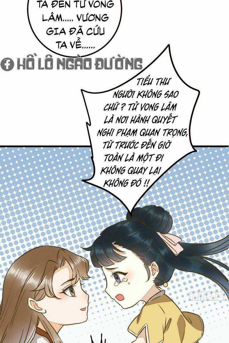 Sát Thủ Vương Phi Không Dễ Chọc Chapter 86 trang 28