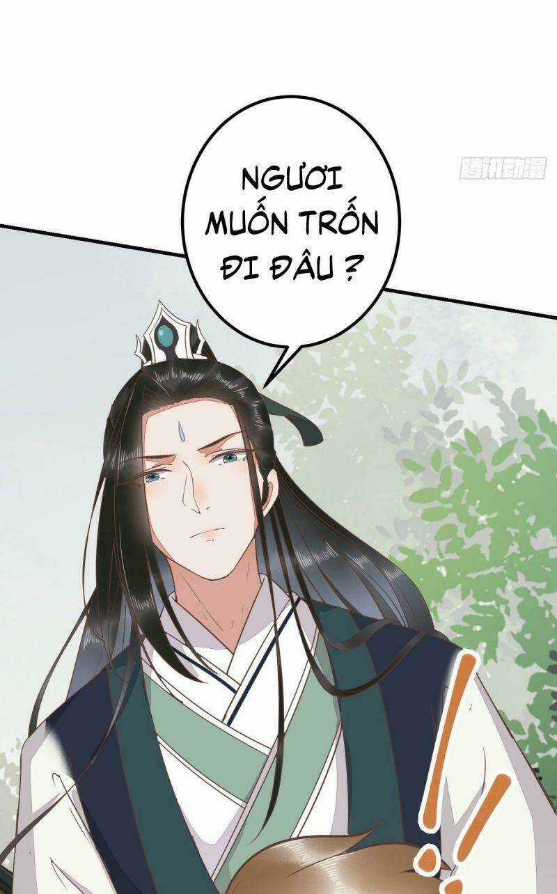 Sát Thủ Vương Phi Không Dễ Chọc Chapter 87 trang 10