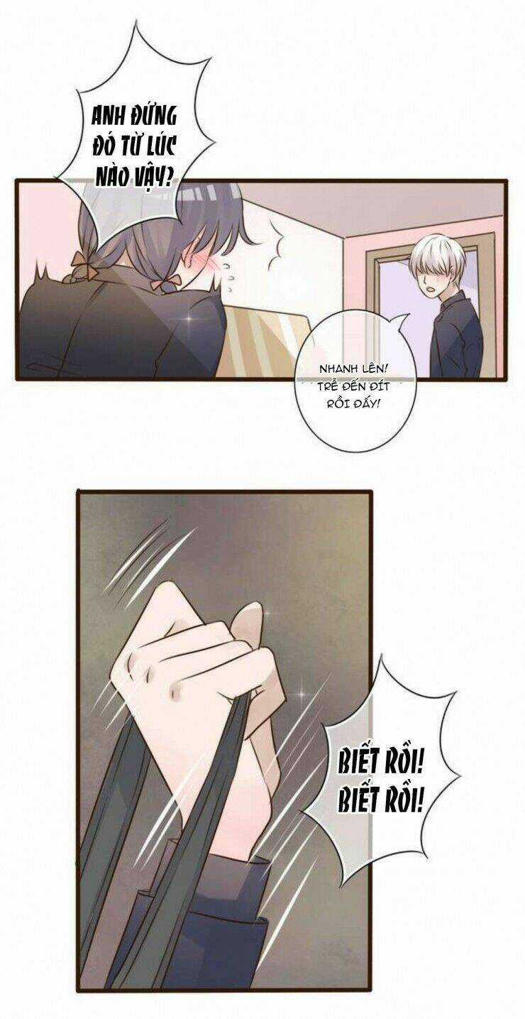 Sau Con Mưa Mùa Hạ Chapter 2 trang 3