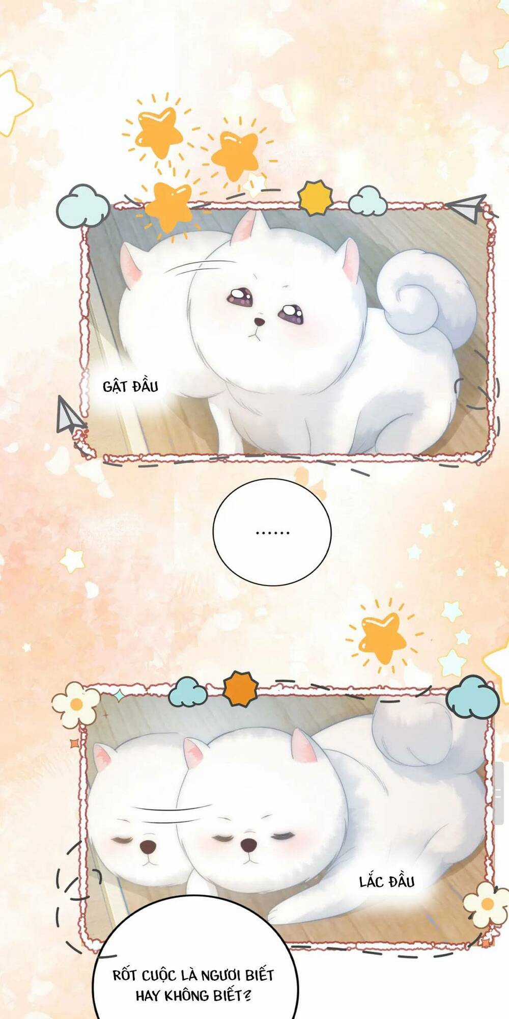 Sau Khi Bị Cướp Đi Tất Cả, Cô Ấy Phong Thần Trở Về Chapter 16 trang 9