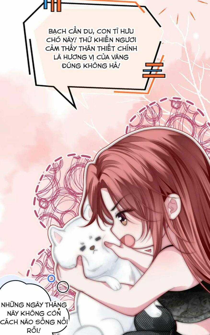 Sau Khi Bị Cướp Đi Tất Cả, Cô Ấy Phong Thần Trở Về Chapter 19 trang 32