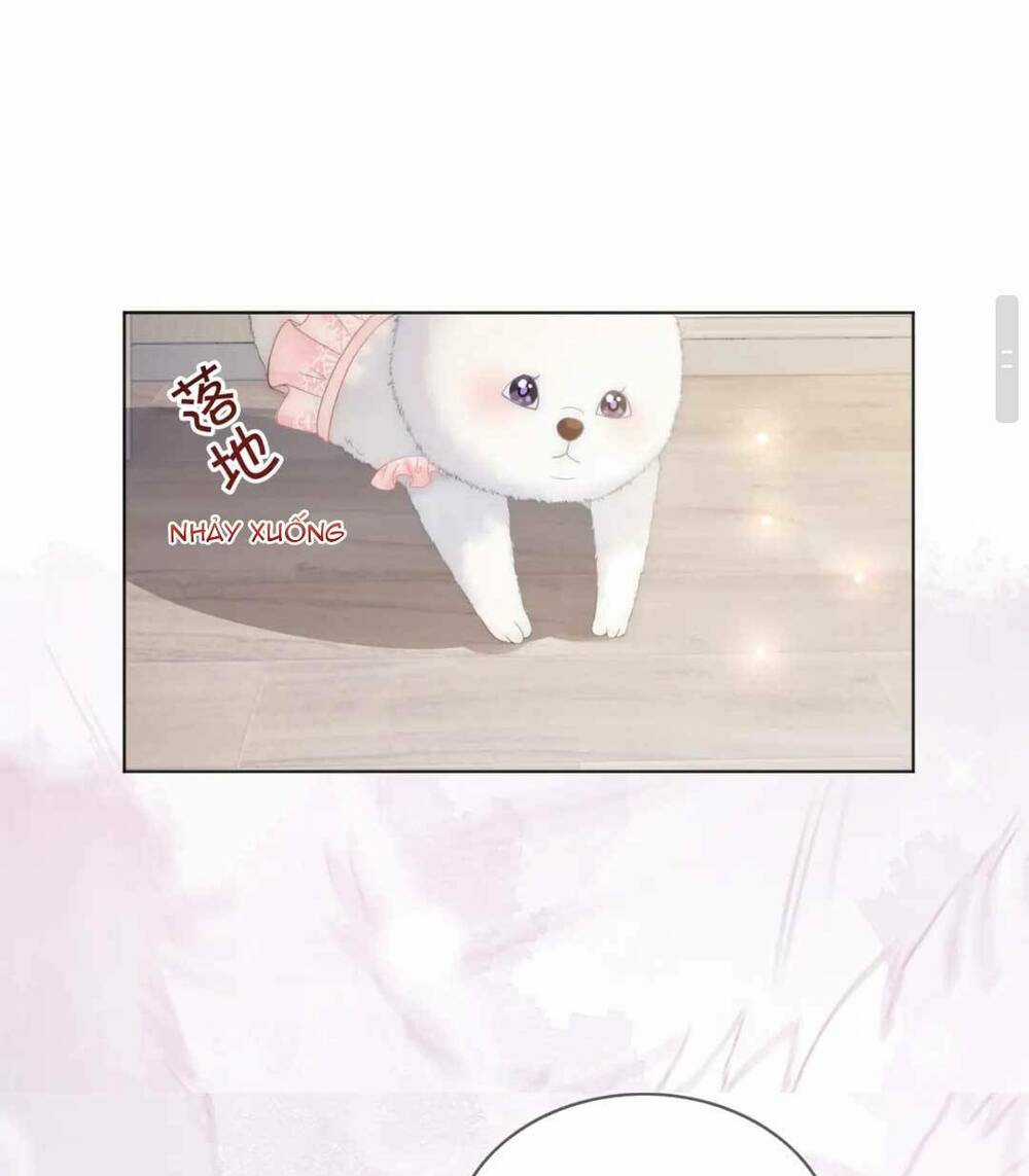 Sau Khi Bị Cướp Đi Tất Cả, Cô Ấy Phong Thần Trở Về Chapter 32 trang 34