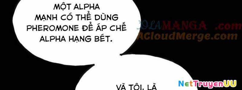 Sau Khi Chết, Ta Trở Thành Võ Đạo Thiên Ma Chapter 15 trang 149