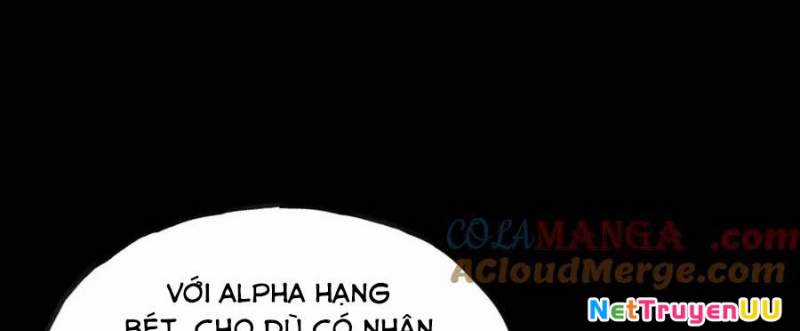 Sau Khi Chết, Ta Trở Thành Võ Đạo Thiên Ma Chapter 15 trang 302