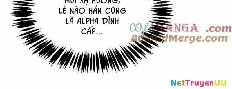 Sau Khi Chết, Ta Trở Thành Võ Đạo Thiên Ma Chapter 15 trang 346