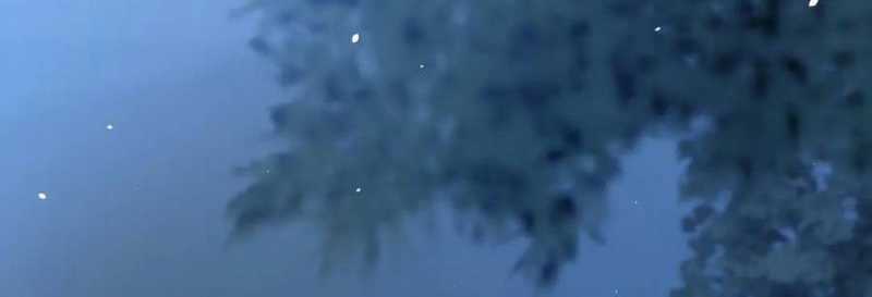 Sau Khi Chết, Ta Trở Thành Võ Đạo Thiên Ma Chapter 17 trang 25