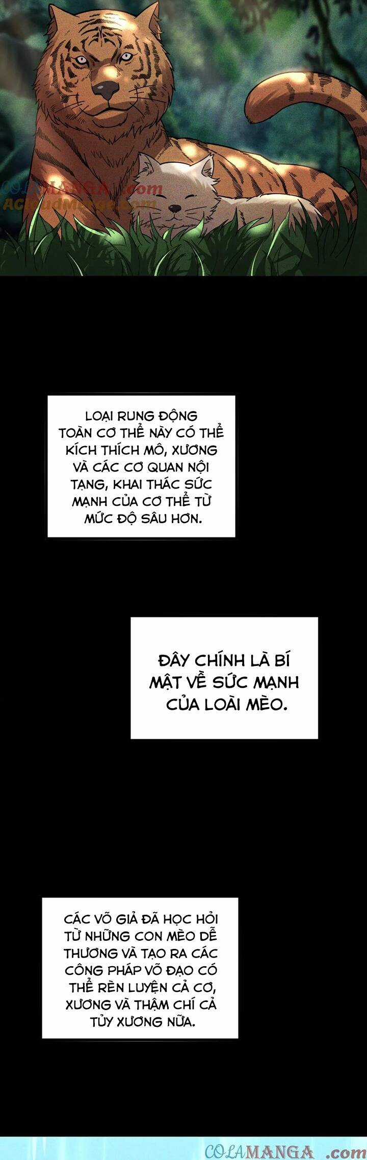 Sau Khi Chết, Ta Trở Thành Võ Đạo Thiên Ma Chapter 26 trang 4