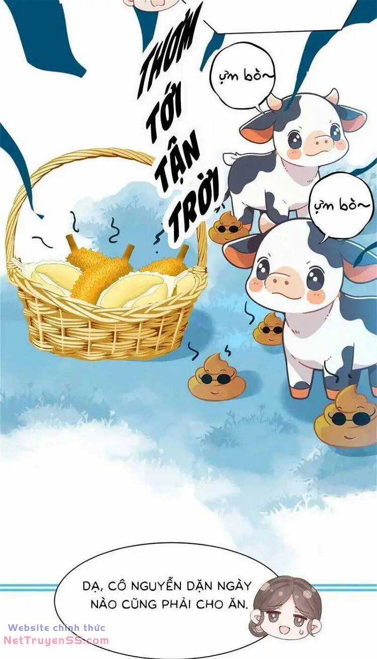 Sau Khi Chia Tay, Cô Ấy Trở Thành Nữ Vương Hotsearch Chapter 41 trang 13