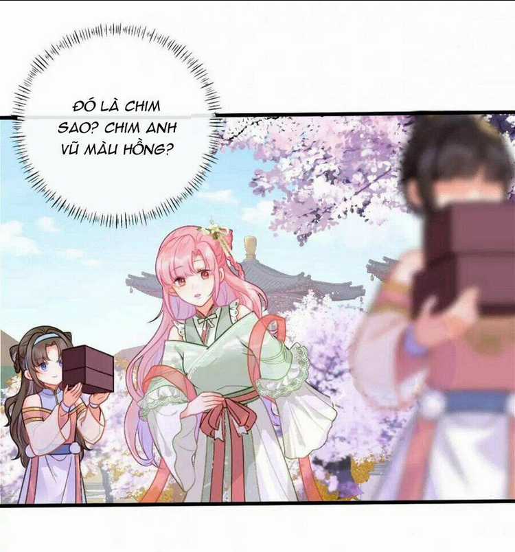 Sau Khi Công Chúa Bội Tình Bạc Nghĩa Chapter 23 trang 5